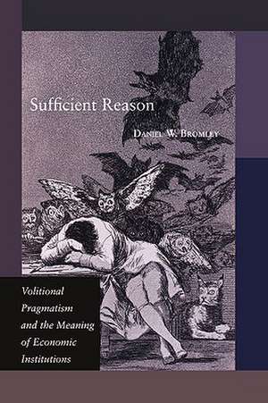 Sufficient Reason – Volitional Pragmatism and the Meaning of Economic Institutions de Daniel W. Bromley