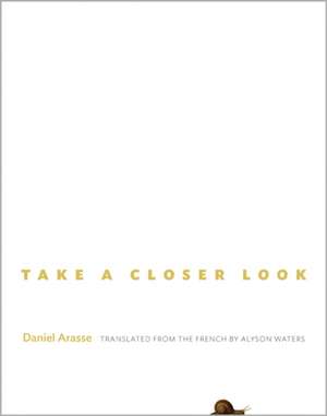 Take a Closer Look de Daniel Arasse