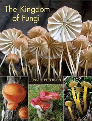 The Kingdom of Fungi de Jens H. Petersen