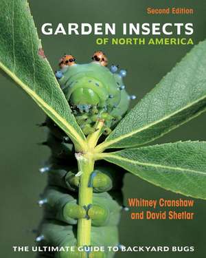 Garden Insects of North America – The Ultimate Guide to Backyard Bugs – Second Edition de Whitney Cranshaw