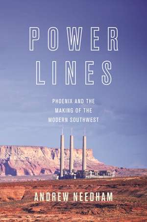 Power Lines – Phoenix and the Making of the Modern Southwest de Andrew Needham