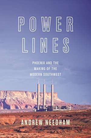 Power Lines de Todd Andrew Needham