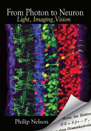 From Photon to Neuron – Light, Imaging, Vision de Philip Nelson