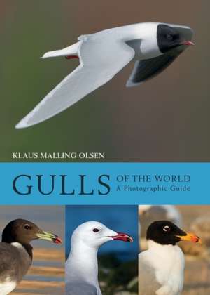 Gulls of the World – A Photographic Guide de Klaus Malling Olsen