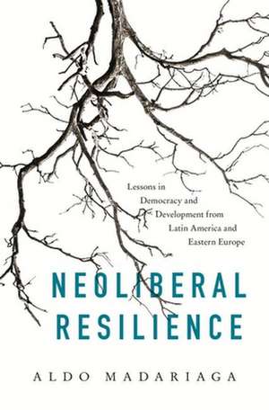 Neoliberal Resilience – Lessons in Democracy and Development from Latin America and Eastern Europe de Aldo Madariaga