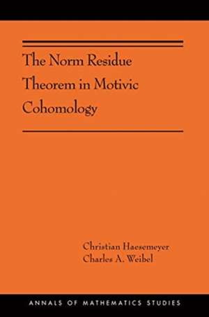 The Norm Residue Theorem in Motivic Cohomology – (AMS–200) de Christian Haesemeyer