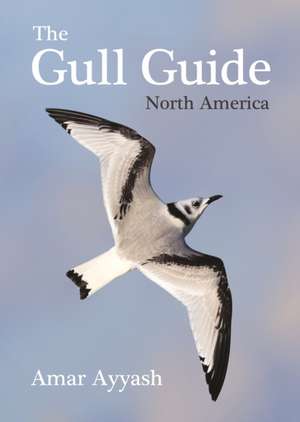 The Gull Guide – North America de Amar Ayyash