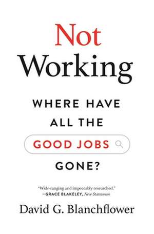 Not Working – Where Have All the Good Jobs Gone? de David G. Blanchflower