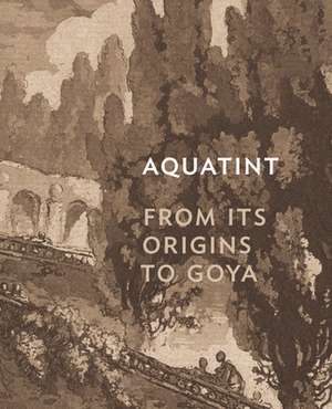 Aquatint – From Its Origins to Goya de Rena M. Hoisington