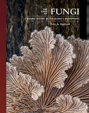 The Lives of Fungi – A Natural History of Our Planet′s Decomposers de Britt A. Bunyard