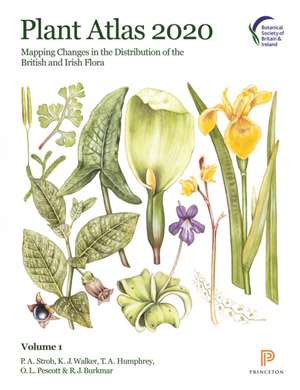 Plant Atlas 2020 – Mapping Changes in the Distribution of the British and Irish Flora de P. A. Stroh