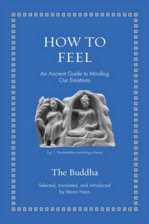 How to Feel de The Buddha