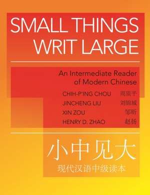 Small Things Writ Large de Chih-P'Ing Chou
