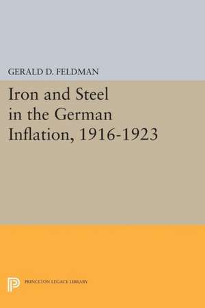 Iron and Steel in the German Inflation, 1916–1923 de Gerald D. Feldman