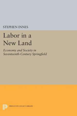 Labor in a New Land – Economy and Society in Seventeenth–Century Springfield de Stephen Innes