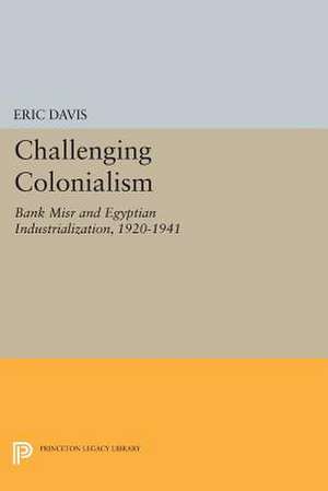 Challenging Colonialism – Bank Misr and Egyptian Industrialization, 1920–1941 de Ed Avis