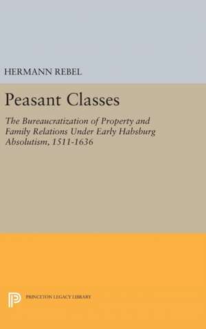 Peasant Classes de Hermann Rebel
