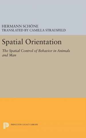 Spatial Orientation de Hermann Schone