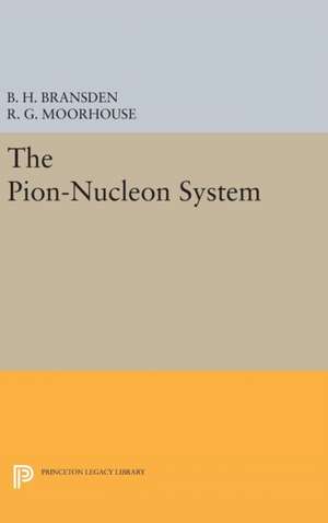 The Pion-Nucleon System de Brian H. Bransden