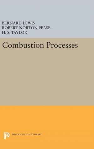 Combustion Processes de Bernard Lewis