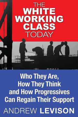 The White Working Class Today de MR Andrew Levison