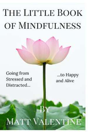 The Little Book of Mindfulness de Matt Valentine