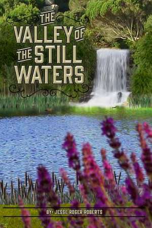 The Valley of the Still Waters de Jesse Roger Roberts