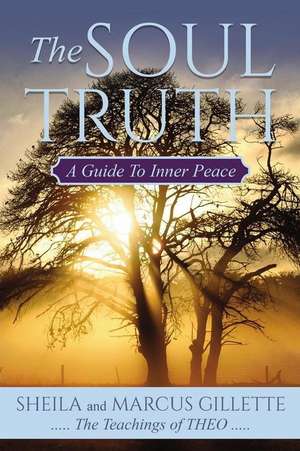 The Soul Truth de Shelia Gillette