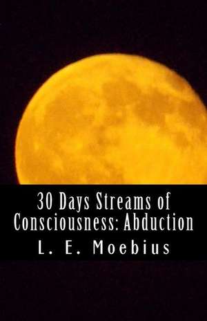 30 Days Streams of Consciousness de L E Moebius