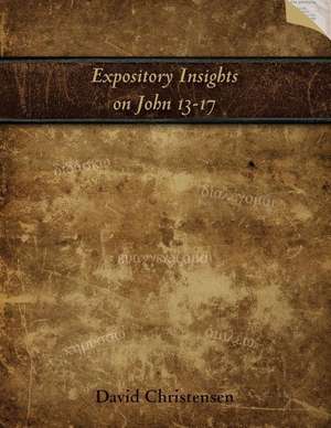 Expository Insights on John 13-17: A Workbook for Expository Preaching de David A. Christensen