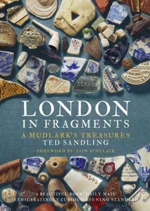 London in Fragments de Ted Sandling