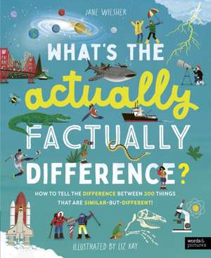 What's the Actually Factually Difference? de Jane Wilsher