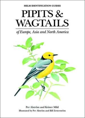 Alstrom, P: Pipits and Wagtails of Europe, Asia and North Am de Per Alstrom