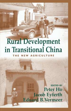 Rural Development in Transitional China: The New Agriculture de Jacob Eyferth