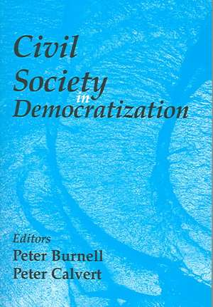 Civil Society in Democratization de Peter Burnell