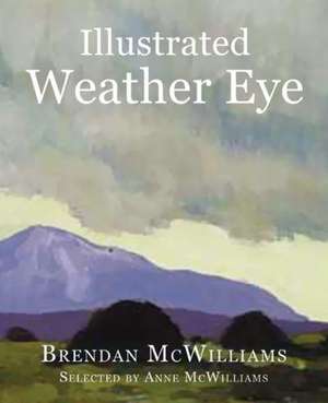 Illustrated Weather Eye de Anne McWilliams