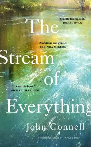 The Stream of Everything de John Connell