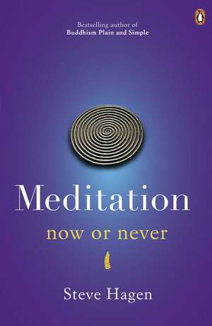 Meditation Now or Never de Steve Hagen