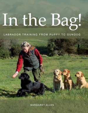 In the Bag! de Margaret Allen