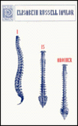 I Is Another de Elisabeth Russell Taylor