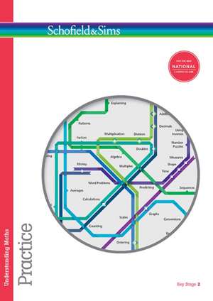 Understanding Maths: Practice de Hilary Koll