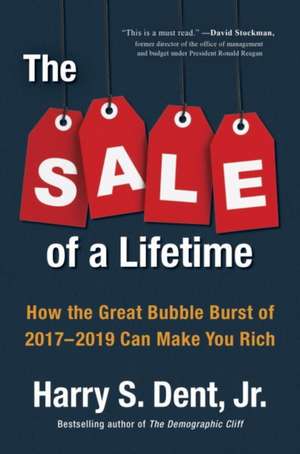 The Sale of a Lifetime: How the Great Bubble Burst of 2017-2019 Can Make You Rich de Harry Dent