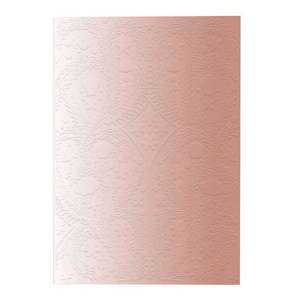 Christian LaCroix Blush B5 10" X 7" Ombre Paseo Notebook de Christian LaCroix