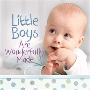 Little Boys Are Wonderfully Made de Harvest House Publishers