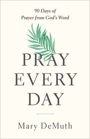 Pray Every Day de Mary E Demuth