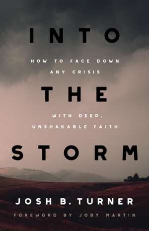 Into the Storm de Josh B Turner