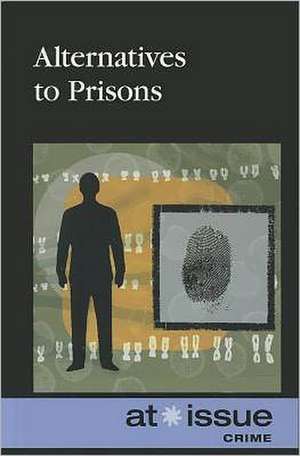 Alternatives to Prisons de Ronald D. Jr. Lankford