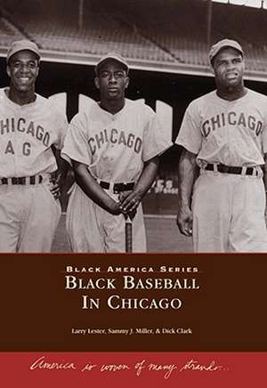 Black Baseball in Chicago de Larry Lester