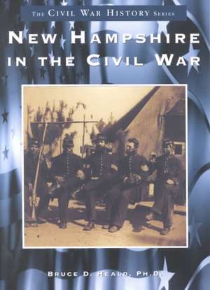 New Hampshire in the Civil War de Bruce D. Heald