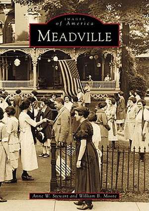 Meadville de Anne W. Stewart